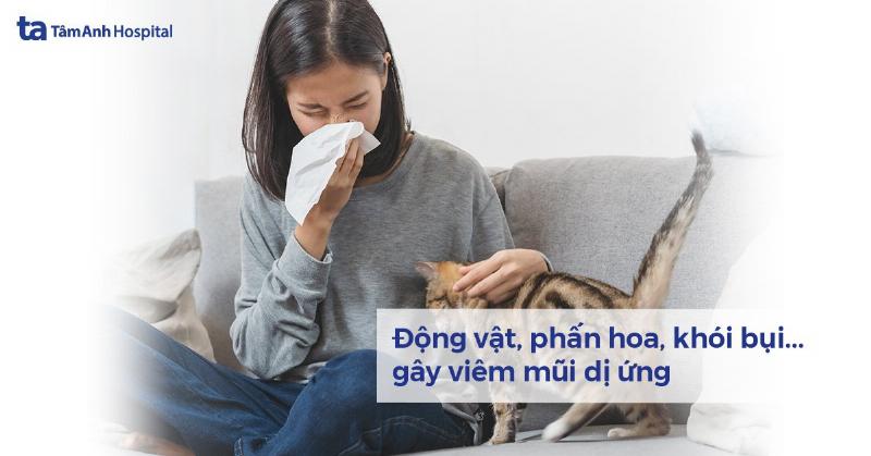 Các yếu tố ảnh hưởng đến hắt xì hơi