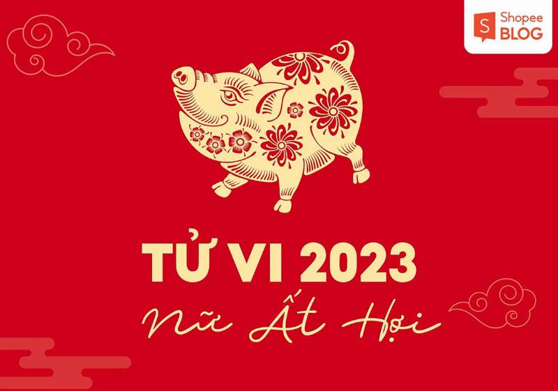 Ất Hợi 2023 Tổng Kết