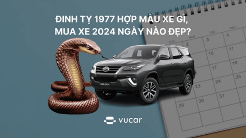 Câu hỏi thường gặp Đinh Tỵ 1977 năm 2023