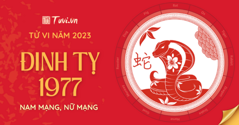 Đinh Tỵ 1977 phát triển 2023