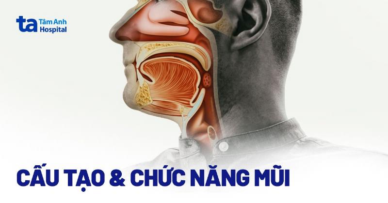 Nhảy mũi dưới góc độ khoa học