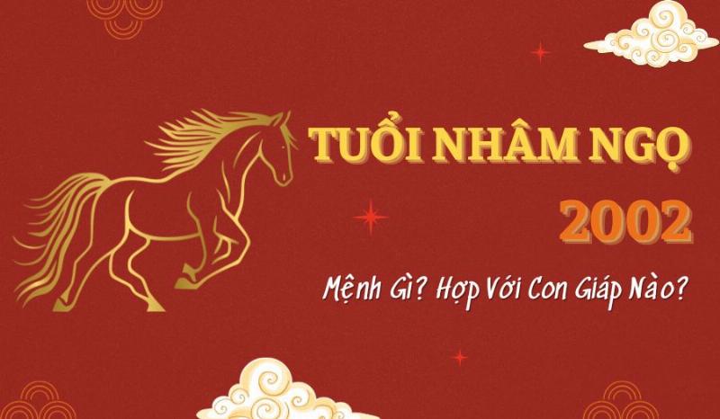 Nữ 2002 hợp với nam tuổi nào nhất? Tóm tắt các tuổi hợp