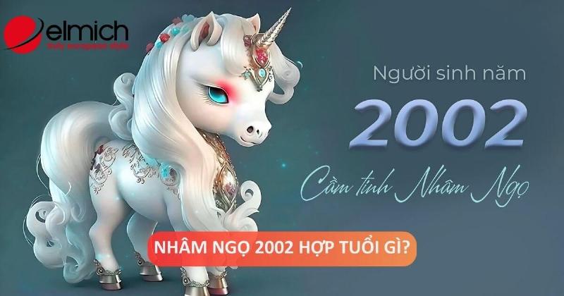 Nữ 2002 lấy chồng tuổi hợp nhất theo Thiên Can Địa Chi