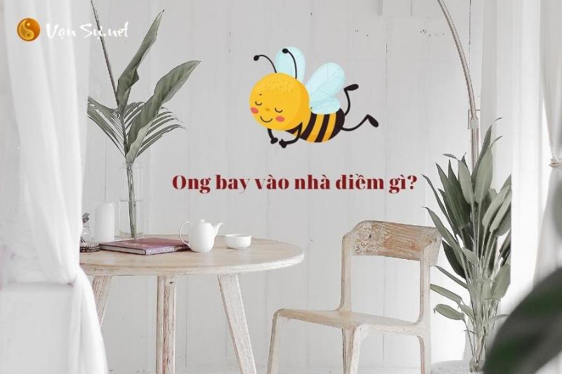 Ong bay vào nhà: Điềm báo gì?