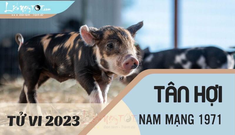 Phong thủy Tân Hợi 2023 nam mạng