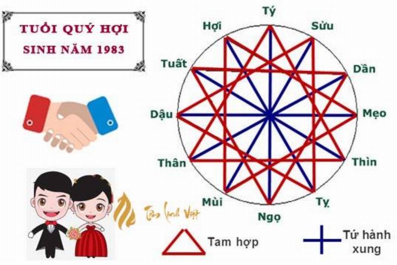 Quản Lý Tài Chính Quý Hợi Nữ Mạng