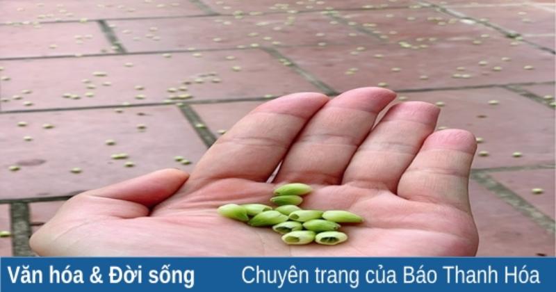 Trứng Gà Trong Văn Hóa