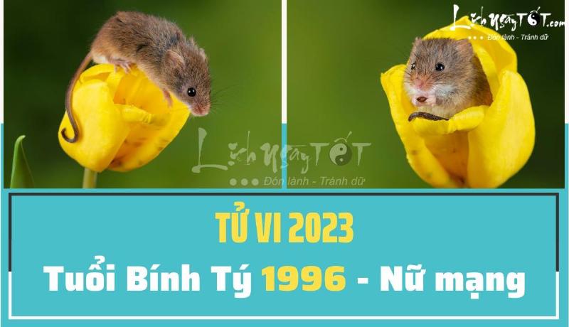 Tử Vi Bính Tý 2023 Nữ Mạng Cuối Năm