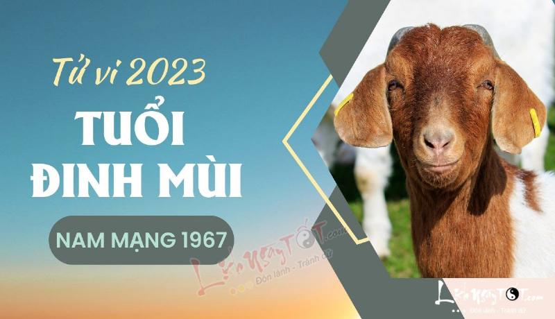 Tổng Quan Tử Vi Đinh Mùi 1967 Nam Mạng Năm 2023