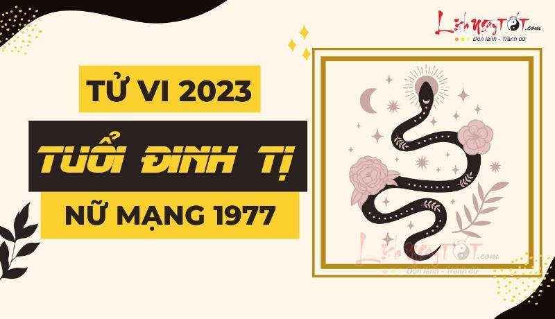 Tử vi Đinh Tỵ nam nữ mạng 2023