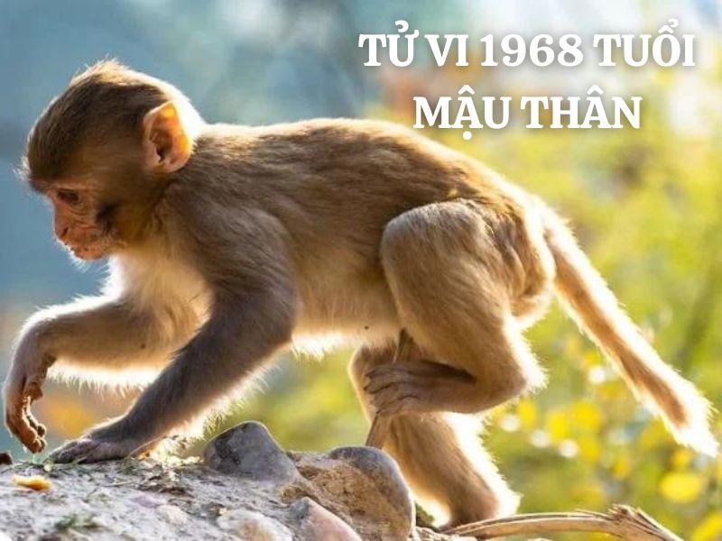 Tử vi Mậu Thân 1968 nam mạng tình duyên