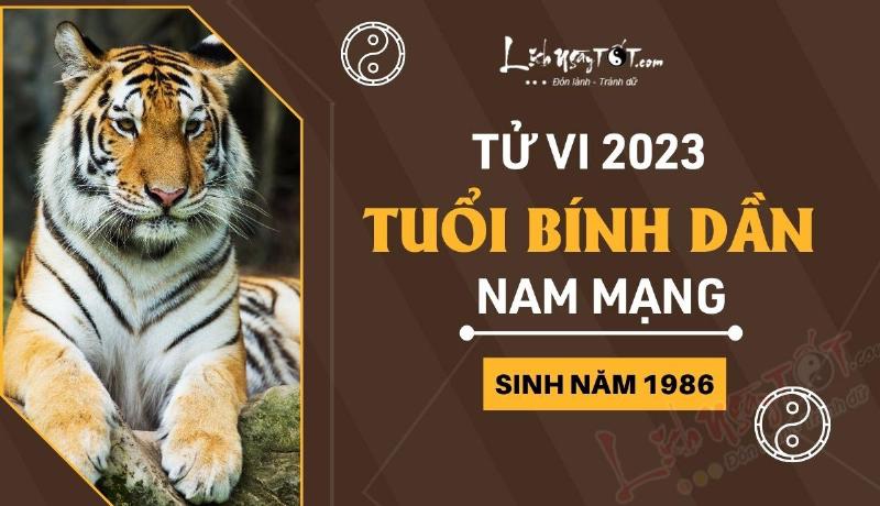 Tử vi nam Bính Dần 1986 năm 2023 công việc