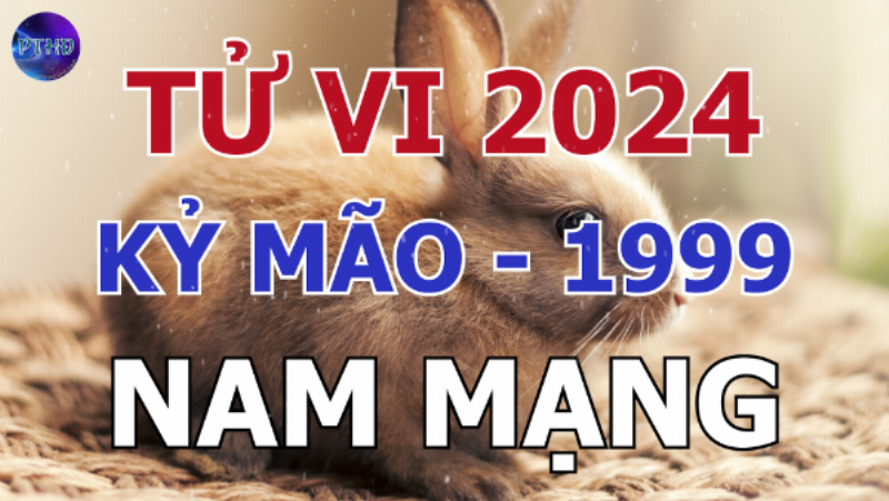 Tử vi nam mạng Kỷ Mão 2024 công việc