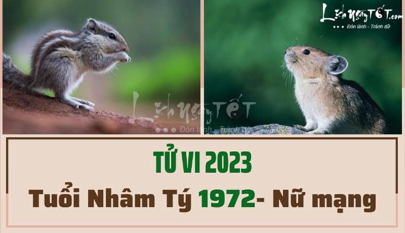 Tử vi Nhâm Tý nữ mạng 2023 về công việc