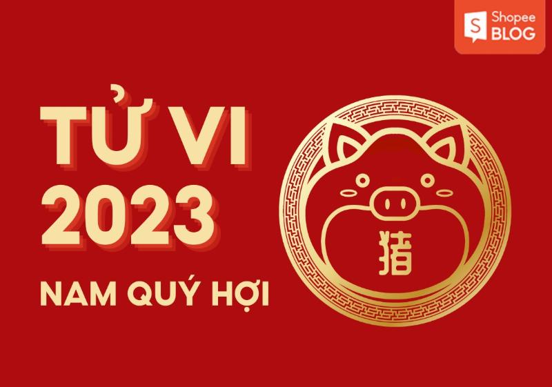 Tử vi tuổi Quý Hợi năm 2023 nam mạng