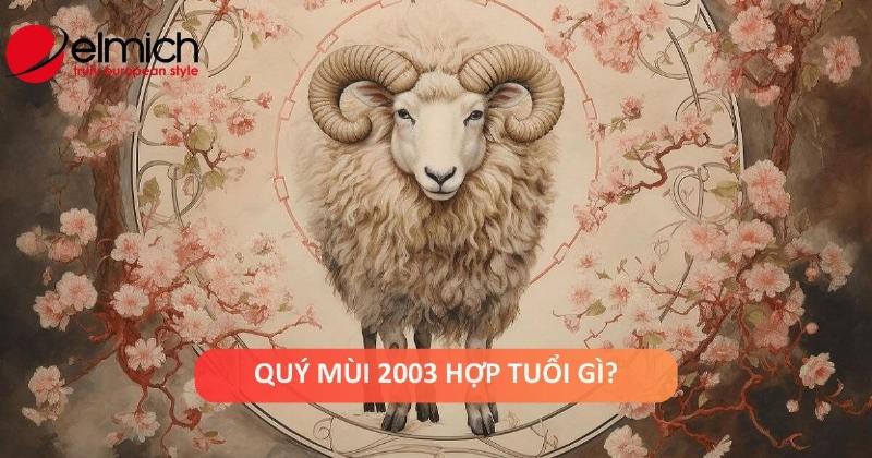 Tử vi Quý Mùi 2003 nữ mạng lưu ý