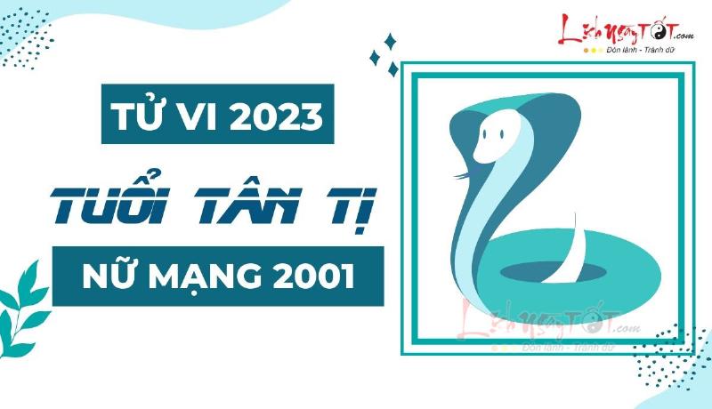 Tử vi Tân Tỵ 2023 nữ mạng: Lời khuyên