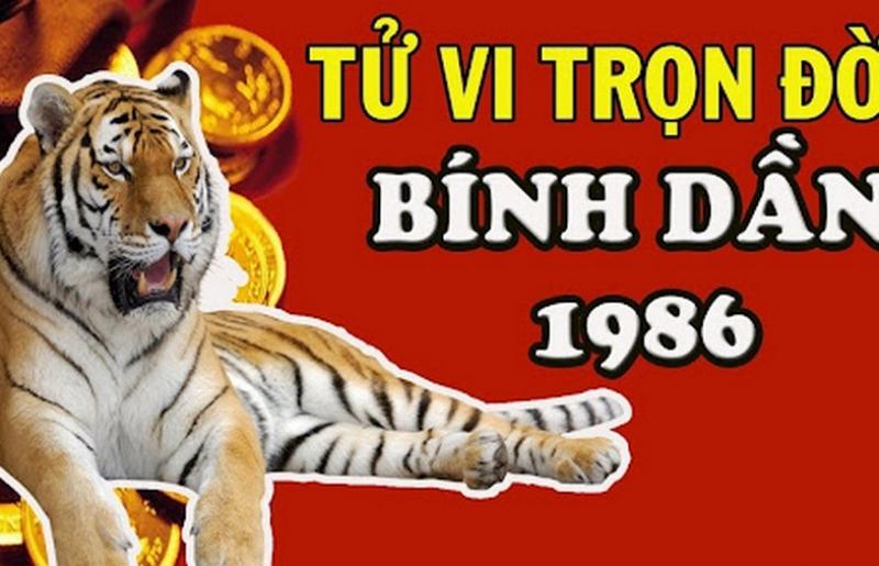 Tử vi tình cảm nam Bính Dần 1986