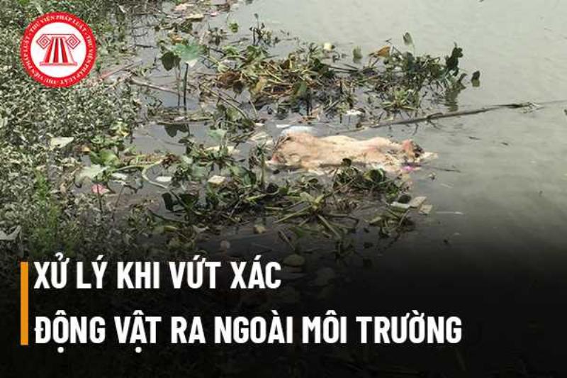 Xử lý xác chó bảo vệ môi trường