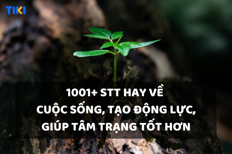 Áp dụng câu nói hay vào cuộc sống hàng ngày