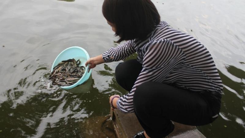 Nghi thức Bài Cúng Phóng Sinh Chùa Ba Vàng