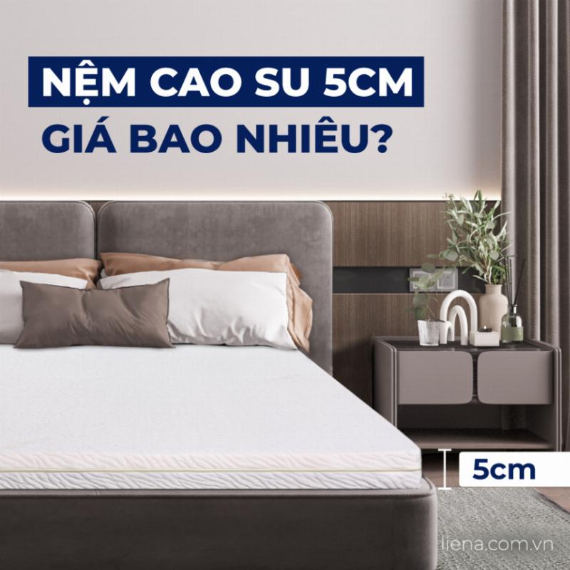 Bảo Quản Nệm Cao Su 5cm