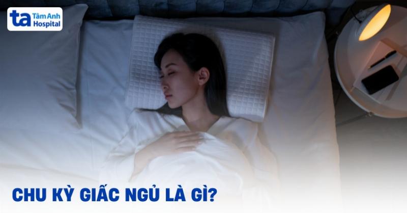 Chu Kỳ Ngủ Quan Trọng: Minh họa chu kỳ ngủ và tầm quan trọng của việc thức dậy đúng lúc