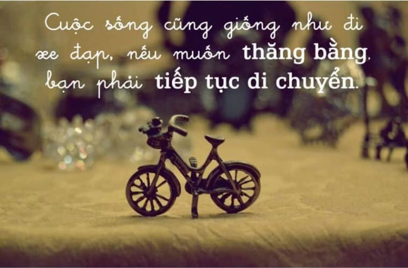 Danh ngôn tình yêu và cuộc sống