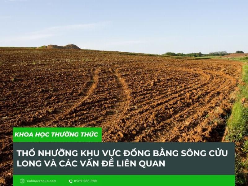 Đất Phù Sa Đồng Bằng Sông Cửu Long