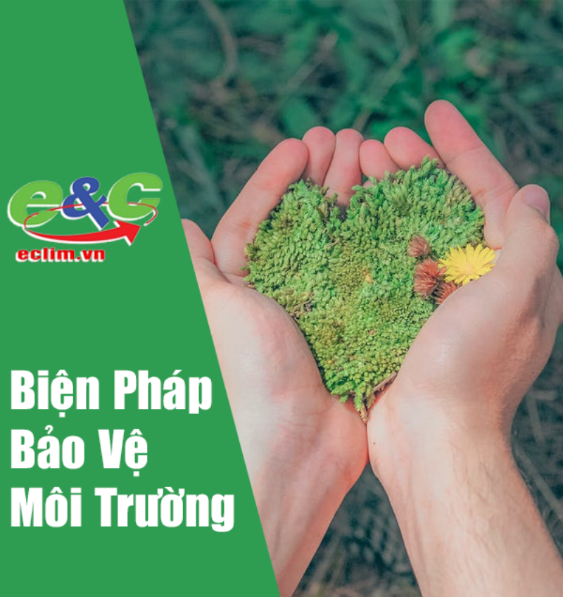 Giải pháp giảm thiểu ô nhiễm môi trường