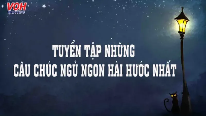 Meme Chúc Ngủ Ngon Hài Hước Gửi Bạn Bè