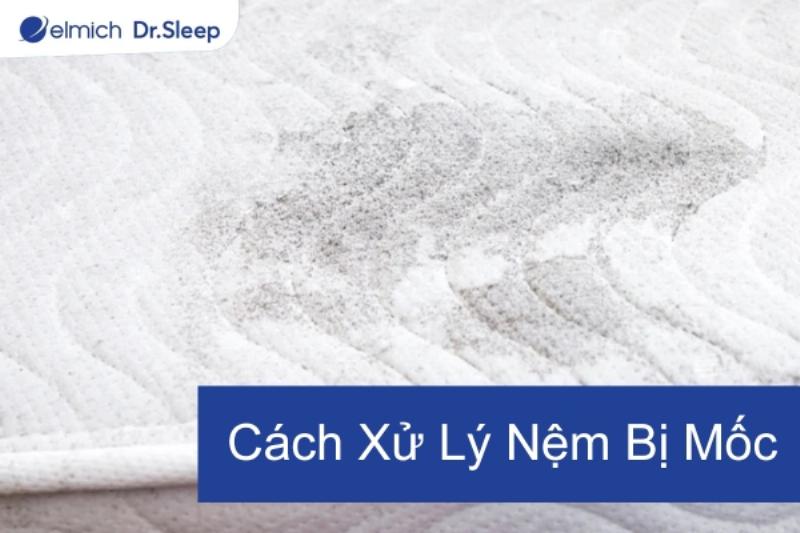 Phòng tránh nệm cao su bị ẩm mốc