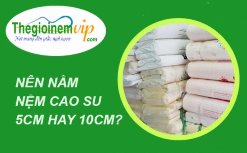 So Sánh Nệm Cao Su 5cm