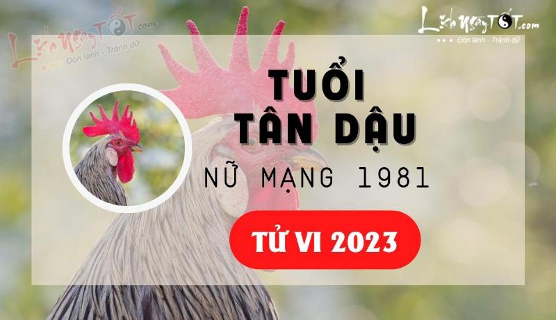 Tổng quan tử vi tuổi Tân Dậu 1981 nữ mạng năm 2023