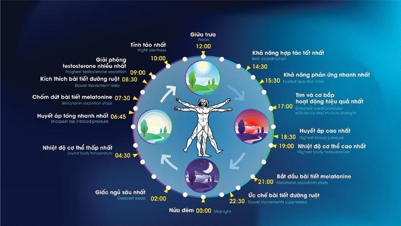 Ảnh hưởng của môi trường đến tâm trạng con người