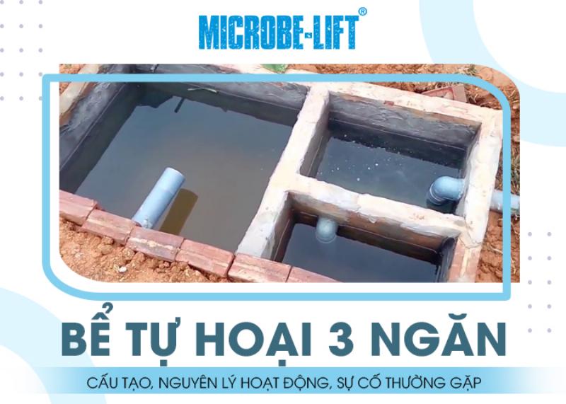 Vật Liệu Xây Dựng Bể Tự Hoại 3 Ngăn