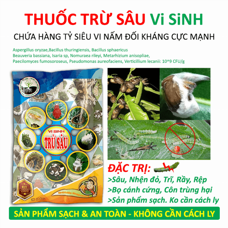 Các Loại Cây Đuổi Côn Trùng Theo Tử Vi