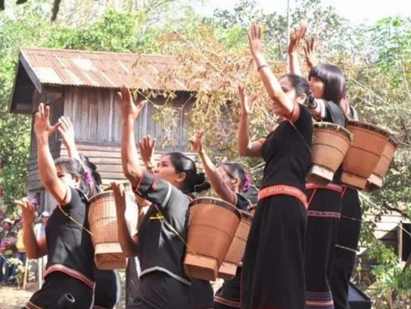 Chim đại bàng đang bay trên bầu trời