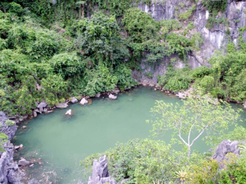 Đa dạng sinh học Vịnh Hạ Long