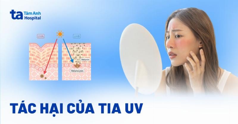 Lợi ích và tác hại của tia UV