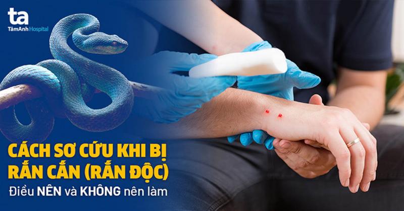 Mơ bị rắn độc cắn: Nguy hiểm