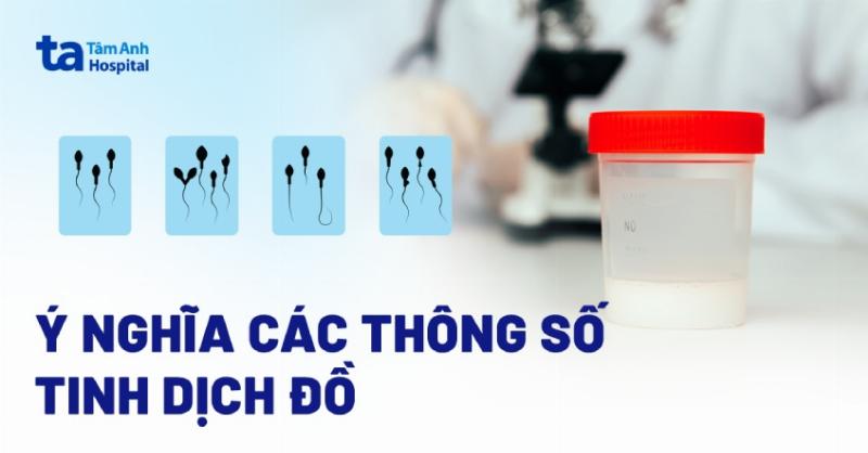 Ở đâu có thể tìm thấy thông tin về nồng độ phần trăm của các chất