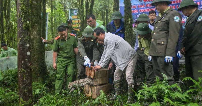 Tương lai xanh bảo vệ đa dạng sinh học