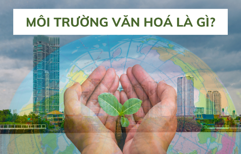 Văn hóa môi trường