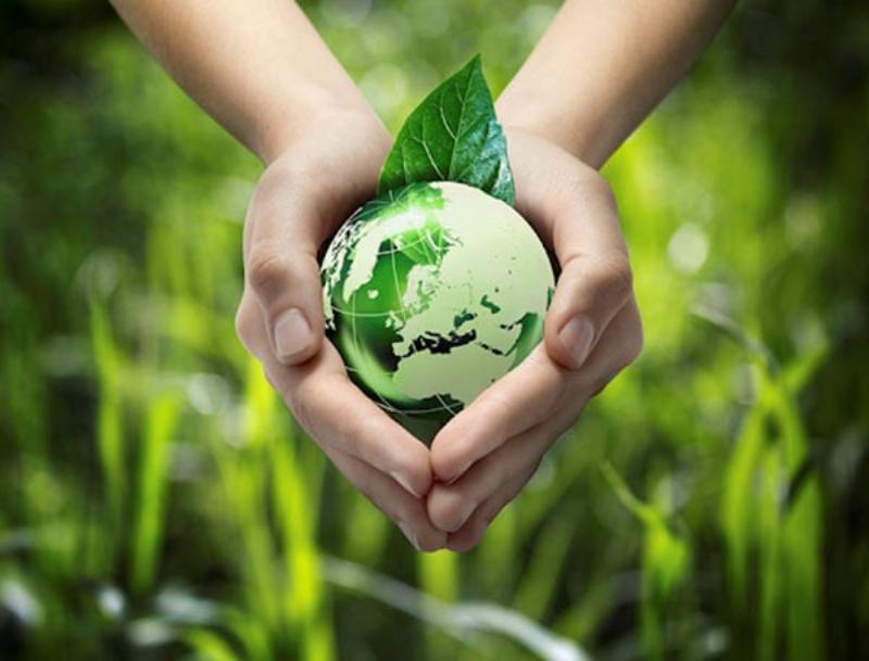 Vật phẩm cúng bái thân thiện với môi trường