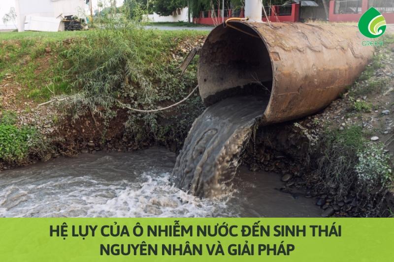 Ảnh hưởng của ô nhiễm nguồn nước đến hệ sinh thái