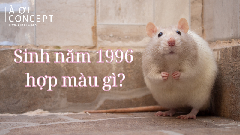 Các yếu tố phong thủy hợp và khắc với người tuổi Bính Tý mệnh Giản Hạ Thủy