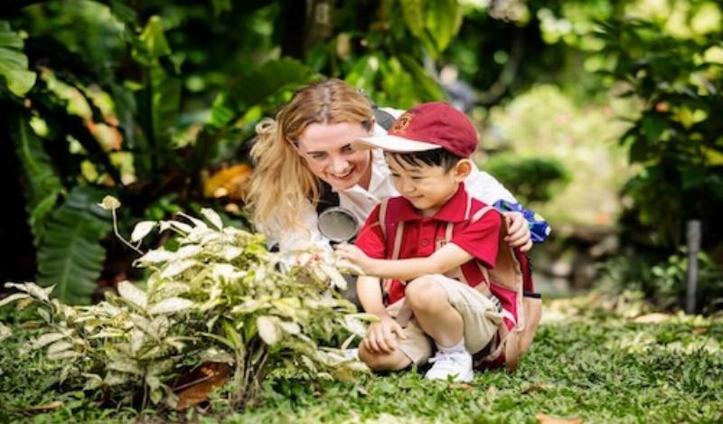 Hinh anh minh hoa viec cai thien moi truong song vao mua thu bao gom don dep nha cua, sap xep vat dung, trang tri khong gian voi cac yeu to thien nhien cua mua thu, the hien su ket noi voi moi truong