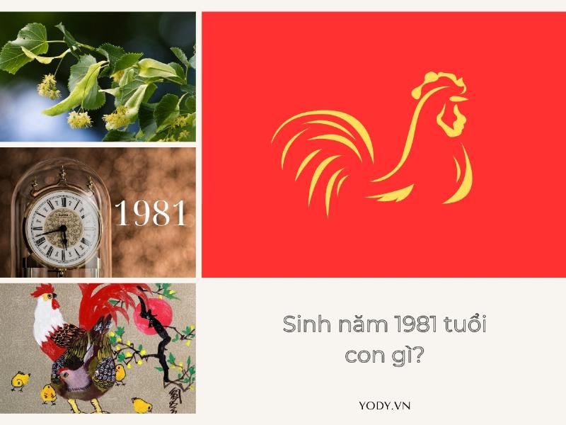 Hinh anh cay luu moc tren da bieu tuong cho menh Thach Luu Moc cua nguoi sinh nam 1981