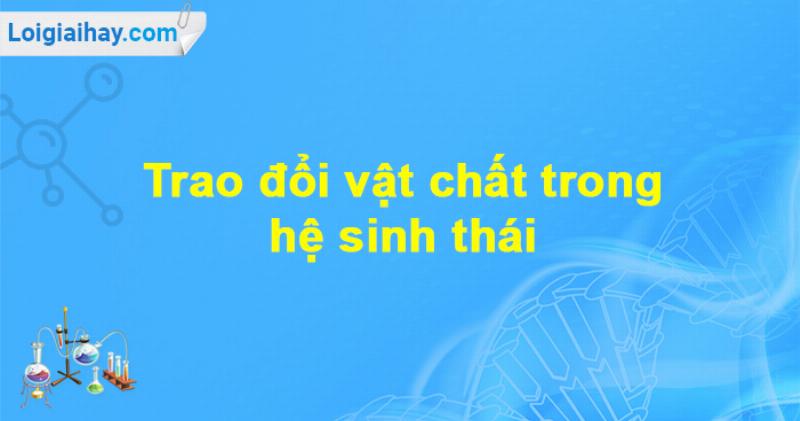 Chuỗi thức ăn phức tạp thể hiện mối quan hệ sinh vật tiêu thụ trong hệ sinh thái bao gồm nhiều loài